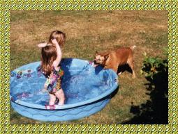 Pumpkin attacking water with Arielle